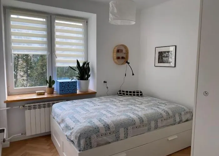 Apartament Pajczur - 40m2